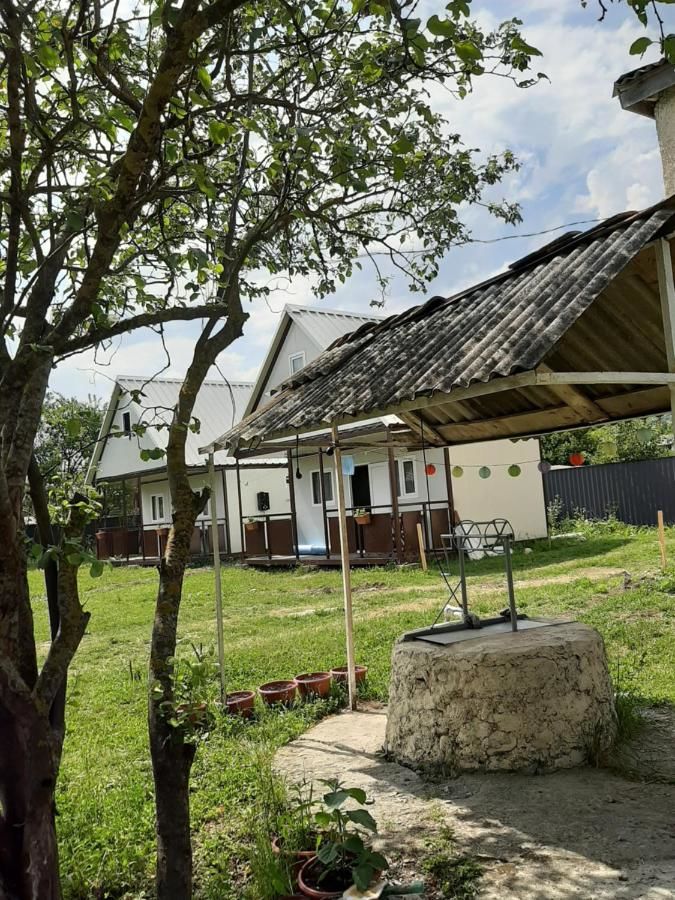 Гостевой дом Cottage in Tianeti Tʼianetʼi-24