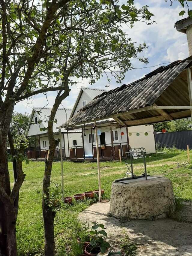 Гостевой дом Cottage in Tianeti Tʼianetʼi-23